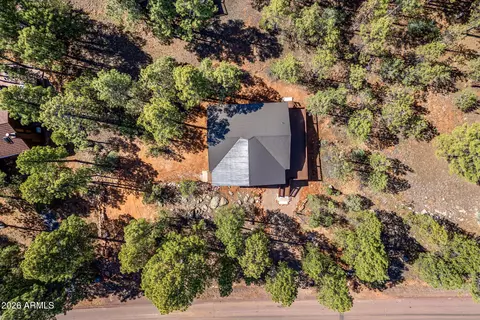 View/Area - 2273 Constellation Cir, Overgaard, AZ 85933 photo 1 of 3