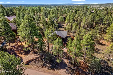 View/Area - 2273 Constellation Cir, Overgaard, AZ 85933 photo 3 of 3