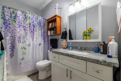 Bath - 317 N Saguaro Dr, Apache Junction, AZ 85120 photo 1 of 3
