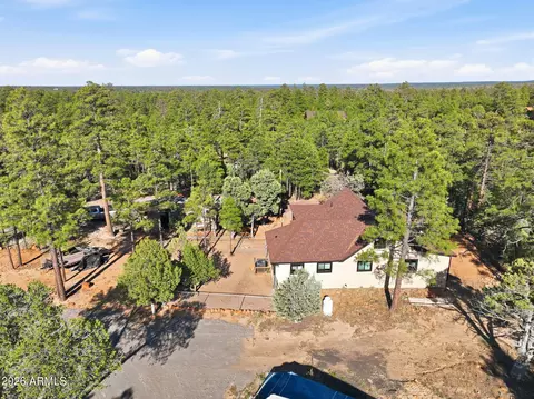 View/Area - 2060 Gilbert Ln, Overgaard, AZ 85933 photo 3 of 10