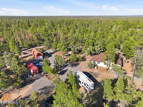 View/Area - 2060 Gilbert Ln, Overgaard, AZ 85933 photo 4 of 10