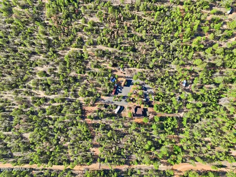 View/Area - 2060 Gilbert Ln, Overgaard, AZ 85933 photo 7 of 10