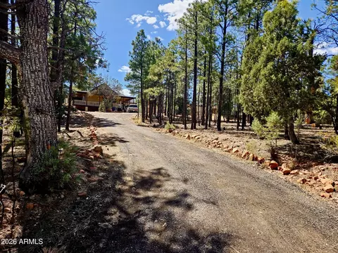 Other - 2060 Gilbert Ln, Overgaard, AZ 85933 photo 3 of 22