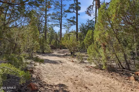 Other - 2060 Gilbert Ln, Overgaard, AZ 85933 photo 4 of 22