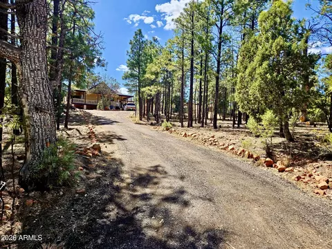 Other - 2060 Gilbert Ln, Overgaard, AZ 85933 photo 22 of 22