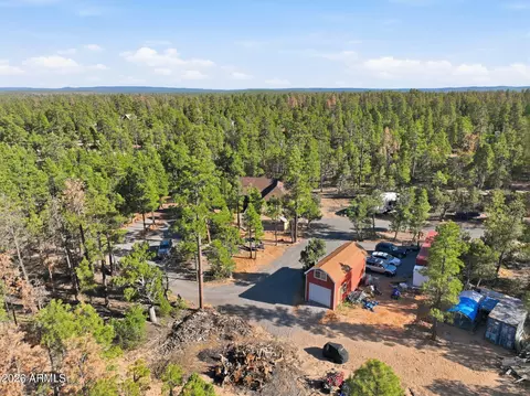 View/Area - 2060 Gilbert Ln, Overgaard, AZ 85933 photo 5 of 10