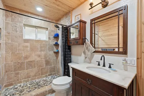 Bath - 2060 Gilbert Ln, Overgaard, AZ 85933 photo 1 of 5