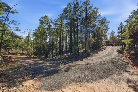 Other - 2060 Gilbert Ln, Overgaard, AZ 85933 photo 7 of 22