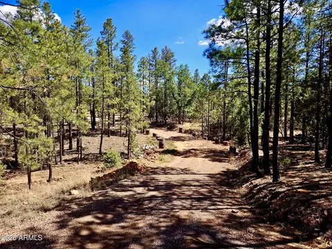 Other - 2060 Gilbert Ln, Overgaard, AZ 85933 photo 2 of 22