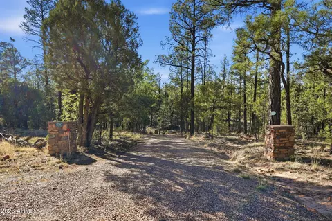 Other - 2060 Gilbert Ln, Overgaard, AZ 85933 photo 6 of 22