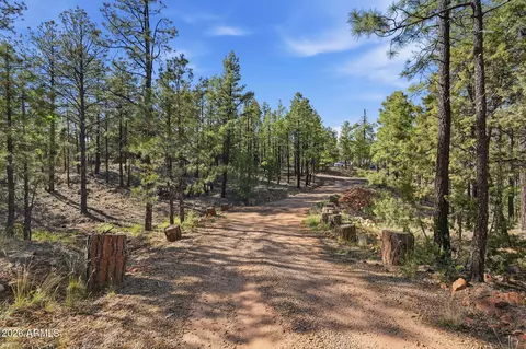 Other - 2060 Gilbert Ln, Overgaard, AZ 85933 photo 5 of 22