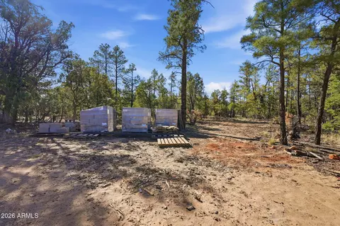 Other - 2060 Gilbert Ln, Overgaard, AZ 85933 photo 17 of 22