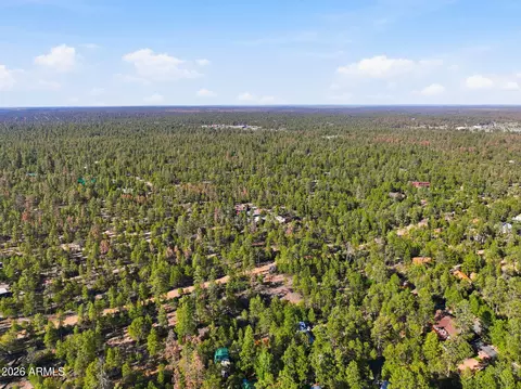 View/Area - 2060 Gilbert Ln, Overgaard, AZ 85933 photo 9 of 10