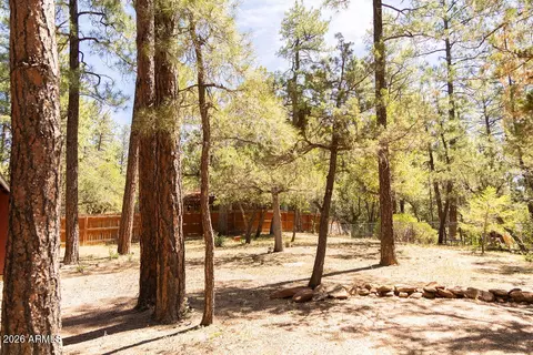 Exterior - 5265 N Squirrel Run, Pine, AZ 85544 photo 5 of 6