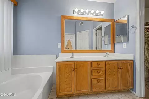 Bath - 2859 E Cathy Dr, Gilbert, AZ 85296 photo 3 of 5