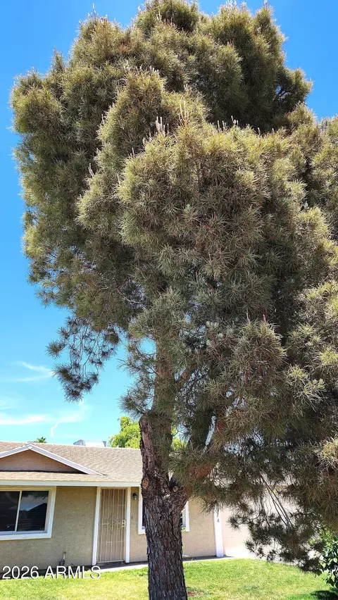 Other - 3524 E Winchcomb Dr, Phoenix, AZ 85032 photo 4 of 7