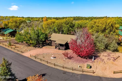 View/Area - 2348 S Buffalo Loop, Overgaard, AZ 85933 photo 1 of 6