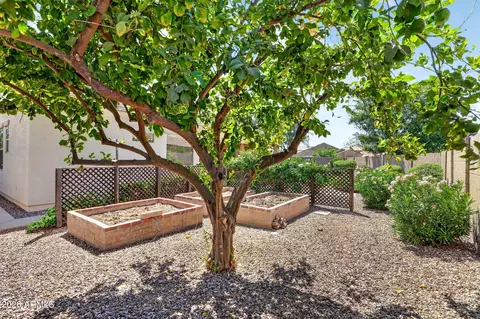 Exterior - 954 E Devon Dr, Gilbert, AZ 85296 photo 6 of 11