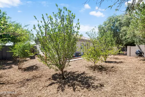 Exterior - 370 S Equestrian Ct, Gilbert, AZ 85296 photo 48 of 50