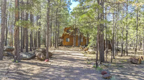 1448 Mineral Dr, Forest Lakes, AZ 85931
