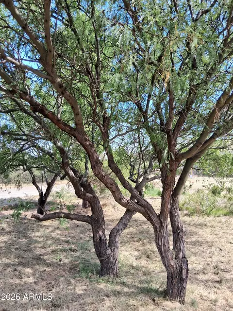 Exterior - 4510 E Wickersham Rd, Hereford, AZ 85615 photo 10 of 22