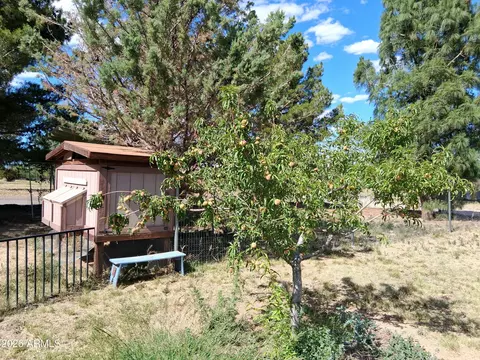Exterior - 4510 E Wickersham Rd, Hereford, AZ 85615 photo 14 of 22