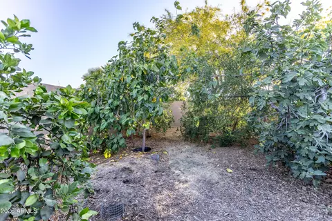 Exterior - 3570 W Pershing Ave, Phoenix, AZ 85029 photo 16 of 16