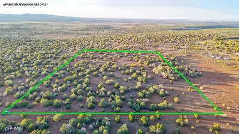 tbd N Six Shooter Trl 20 Acres -- #211, Ash Fork, AZ 86320