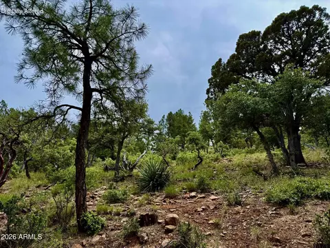 161 N Portal Dr #161, Pine, AZ 85544