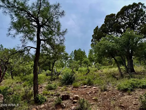 161 N Portal Dr #161, Pine, AZ 85544