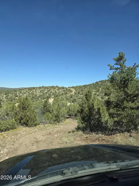 824 Seligman Yavapai County -- #-, Seligman, AZ 86337