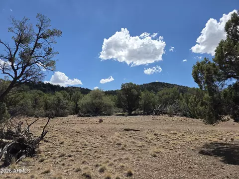 824 Seligman Yavapai County -- #-, Seligman, AZ 86337