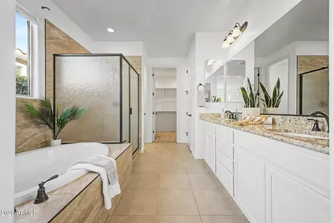 Bath - 9824 E Supernova Dr, Mesa, AZ 85212 photo 1 of 5