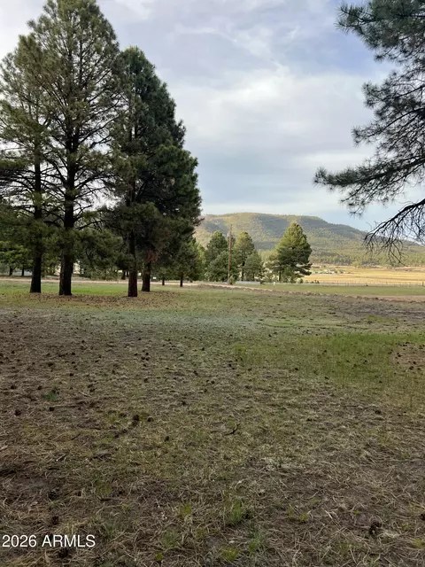 18 County Rd 2063 -- #8, Alpine, AZ 85920