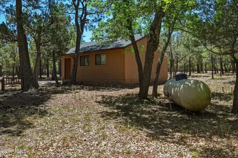 Exterior - 4050 Apache Dr, Happy Jack, AZ 86024 photo 7 of 8