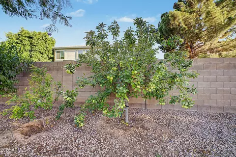 Exterior - 2135 S Porter St, Gilbert, AZ 85295 photo 19 of 26