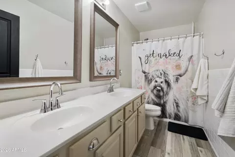 Bath - 3740 E Sexton St, Gilbert, AZ 85295 photo 1 of 4