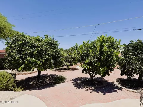 Exterior - 6334 E Albany St, Mesa, AZ 85205 photo 14 of 14