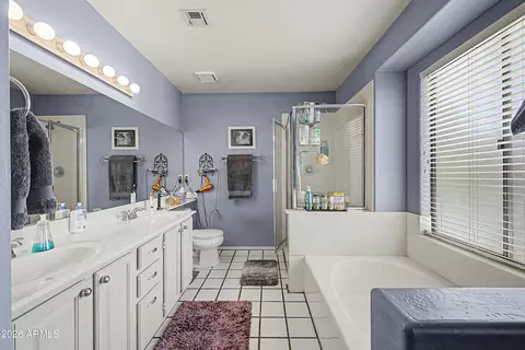 Bath - 407 E Century Ave, Gilbert, AZ 85296 photo 1 of 4