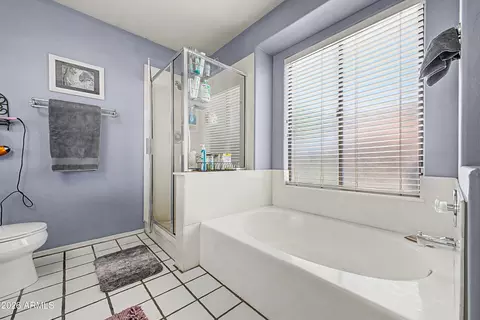 Bath - 407 E Century Ave, Gilbert, AZ 85296 photo 3 of 4
