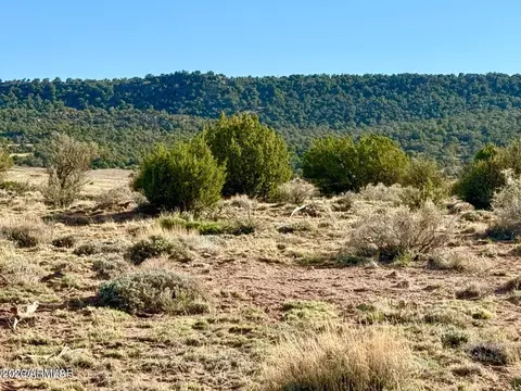 85 Co Rd 8500 Acres -- #-, Concho, AZ 85924