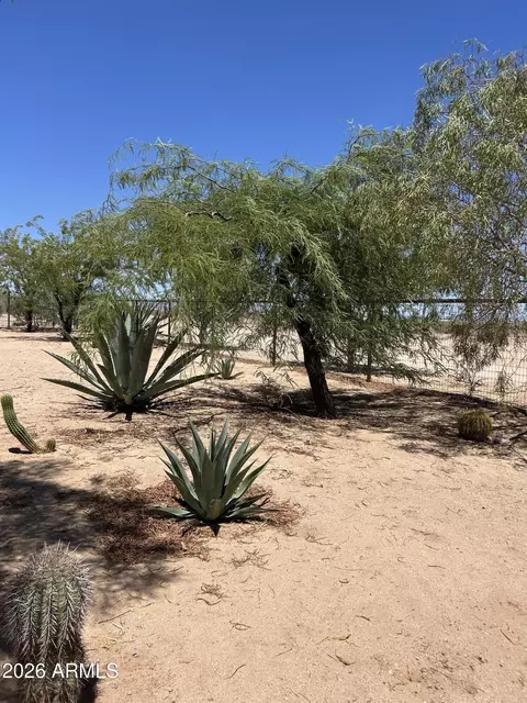 00 N 241st Ave #-, Wittmann, AZ 85361 photo 10