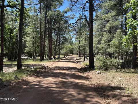 374 N Majestic Elk Ln #37, Payson, AZ 85541