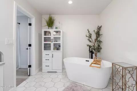 Bath - 1317 E Kramer Cir, Mesa, AZ 85203 photo 3 of 4