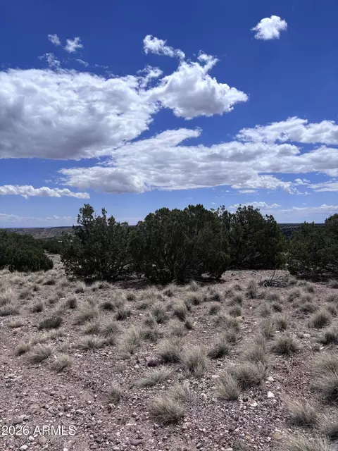 71 Gila Dr #1, Concho, AZ 85924