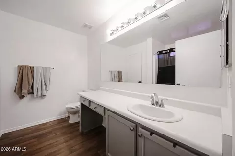 Bath - 3107 W Pollack St, Phoenix, AZ 85041 photo 1 of 3