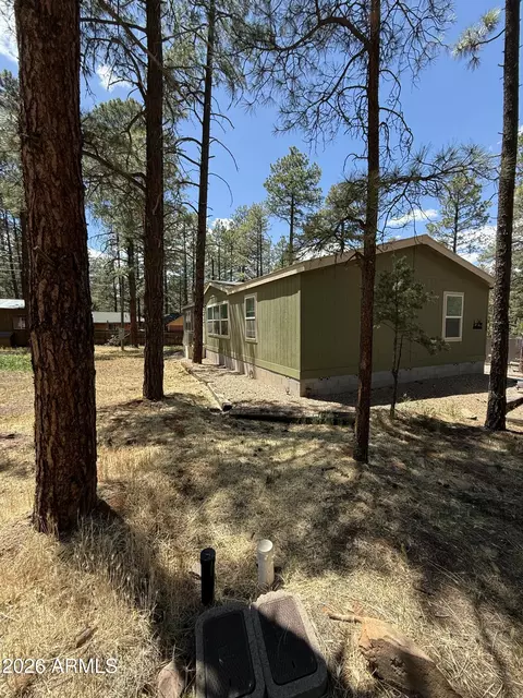2964 Teddy Bear Trl, Overgaard, AZ 85933 photo 24