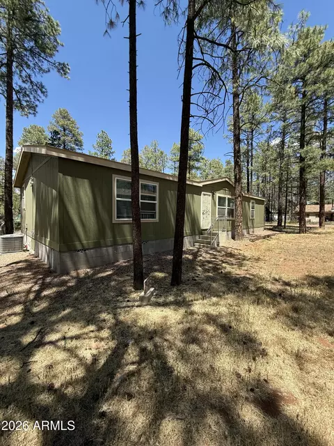 2964 Teddy Bear Trl, Overgaard, AZ 85933 photo 25