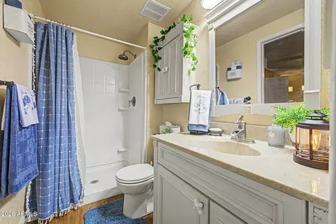 Bath - 414 E Harvard Ave, Gilbert, AZ 85234 photo 1 of 2