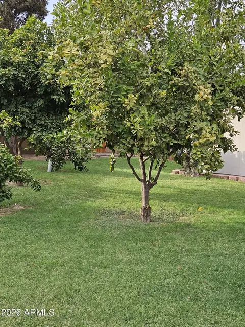 Other - 7050 N 8th Ave, Phoenix, AZ 85021 photo 20 of 26